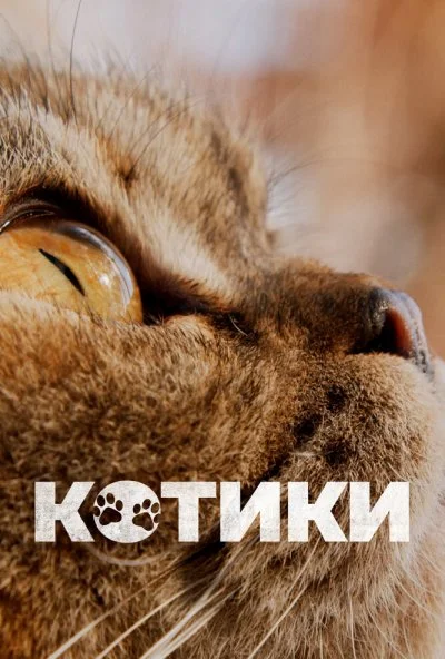 Котики (2022)