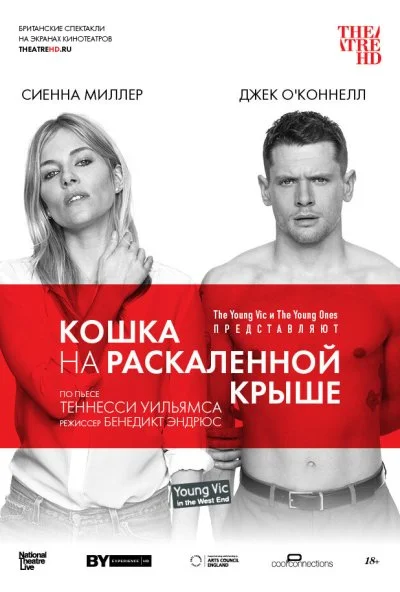 Кошка на раскалённой крыше (2018)